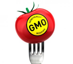 GMO’s